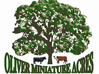 Oliver Miniature Acres