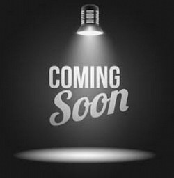 Sophie - Red Belted Galloway Heteropolled - DOB 5/7/24