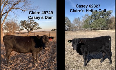 AWR Miss Claire 13L - $1500, AWR Casey 46N - $1500 OR Pair for $2800