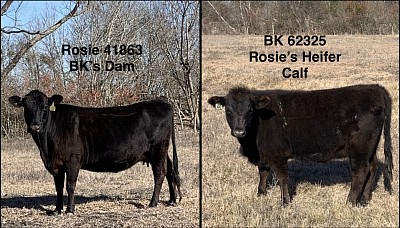 J Bar T Rosie 11G - $1300, AWR BK 44N - $1500 OR Pair for $2600